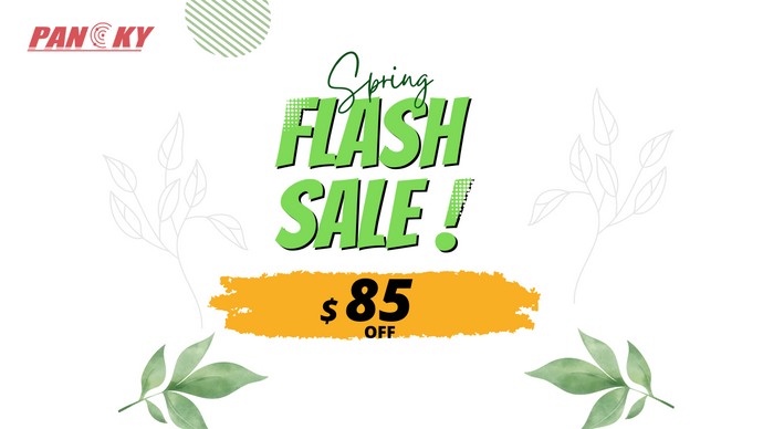 Never Too Early to Think Spring Activities - Grab PANCKY Spring Flash Deal