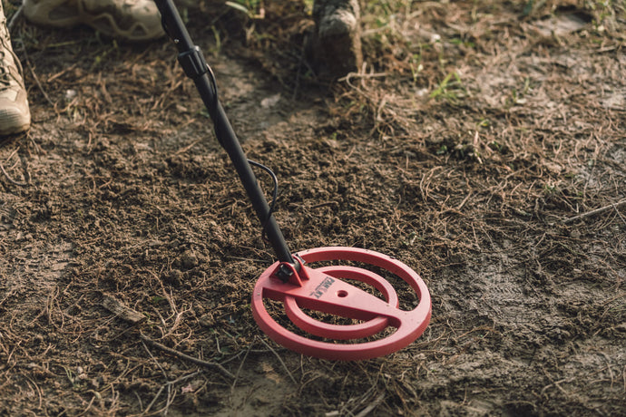 How to Recover Targets When Metal Detecting and the Tools You’ll Need