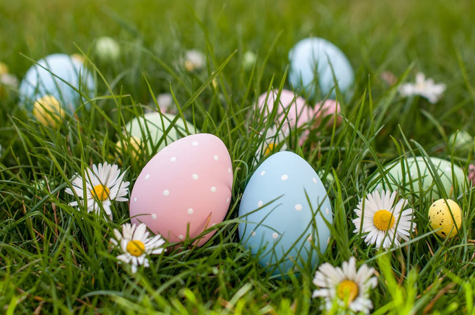 Easter Egg Hunt Adventures Are Better with a Metal Detector